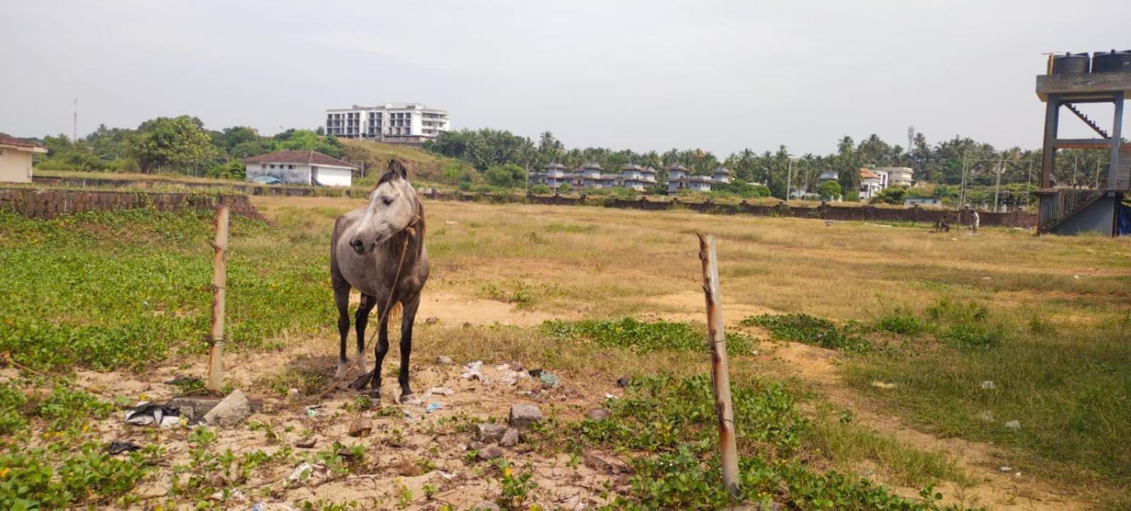Bekal Fort Beach Resorts Bekal Town Exterior foto